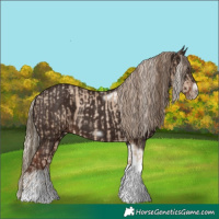 Horse Color:Chocolate Palomino Pearl Tobiano Frame  and Liver Chestnut Tobiano Frame 