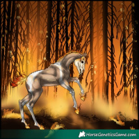 Horse Color:Amber Champagne Tobiano