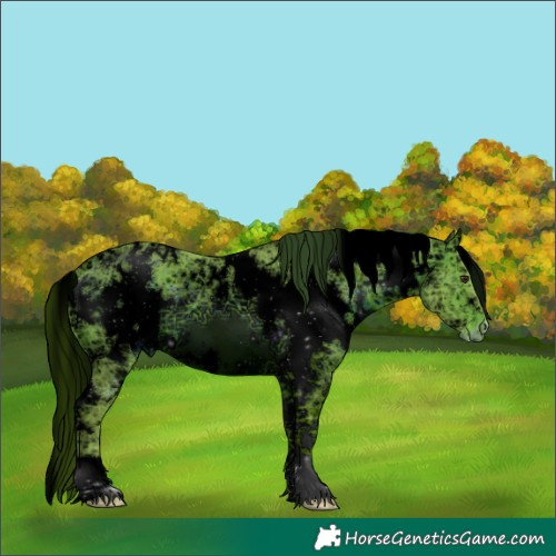 Horse Color:ERROR: UNKNOWN ANOMALY