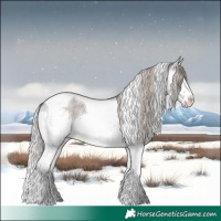 Horse Color:Silver Blue Roan Splash Tobiano 