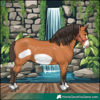 Horse Color:Bay Frame