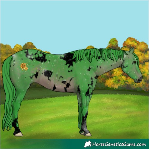 Horse Color:Void Watercolor White Spotted Brown 
