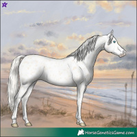 Horse Color:Cremello Near Leopard 