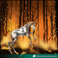 Horse Color:Amber Champagne Near Leopard