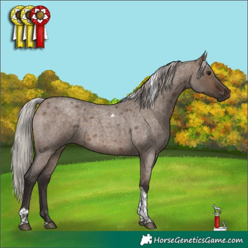 Horse Color:Silver Brown Roan Dun Tobiano 