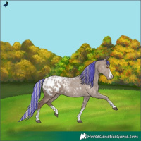Horse Color:Painted Silver Grullo Ice Appaloosa
