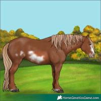 Horse Color:Chestnut Frame