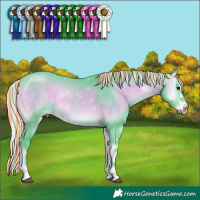 Horse Color:Painted Watercolor Silver Bay Onyx Sabino Tobiano