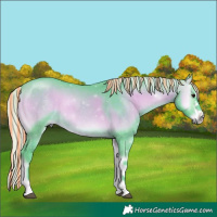 Horse Color:Painted Watercolor Silver Bay Onyx Sabino Tobiano 