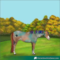 Horse Color:Painted Brown Pearl 