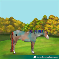 Horse Color:Painted Brown Pearl 