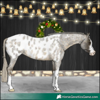Horse Color:White Spotted Silver Buckskin Roan Near Leopard 