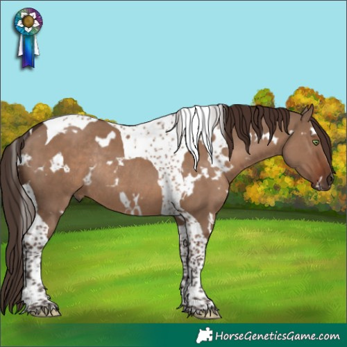 Horse Color:White Spotted Liver Red Dun Tobiano Rabicano 
