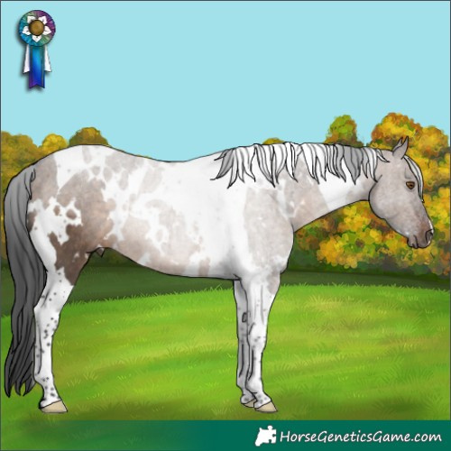 Horse Color:White Spotted Brown Dun Tobiano Rabicano 