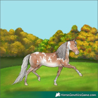 Horse Color:White Spotted Silver Sable Champagne 