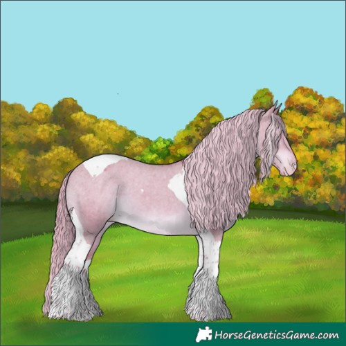 Horse Color:Watercolor Liver Red Dun Tobiano Appaloosa 