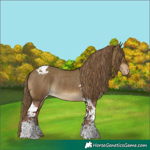 Horse Color:Liver Red Dun Tobiano Appaloosa Rabicano 