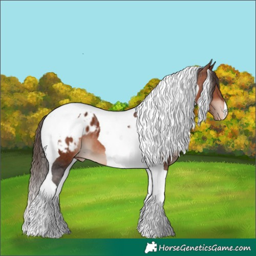 Horse Color:Bay Mushroom Tobiano Varnish 
