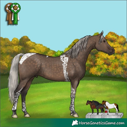 Horse Color:Silver Brown Dun Tobiano 