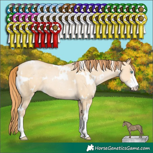 Horse Color:White Spotted Buckskin Pearl Dun Sabino 