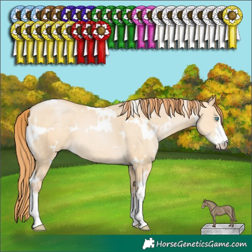 Horse Color:White Spotted Buckskin Pearl Dun Sabino 