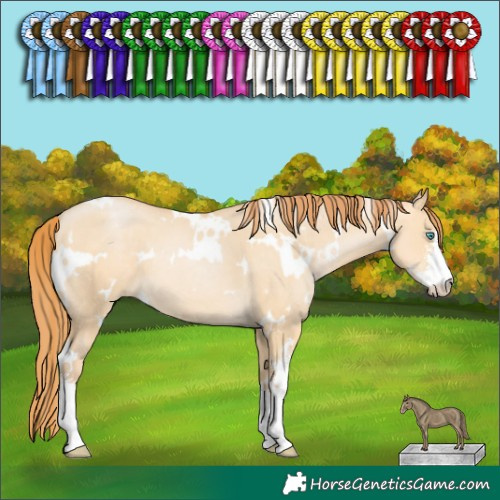 Horse Color:White Spotted Buckskin Pearl Dun Sabino 