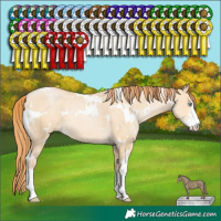 Horse Color:White Spotted Buckskin Pearl Dun Sabino