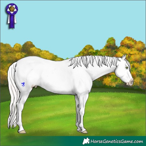 Horse Color:Silver Sable Champagne Sabino Varnish 
