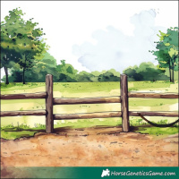 Horse Color:White Spotted Blue Roan Rabicano  and White Spotted Blue Roan Rabicano 