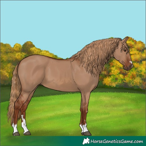 Horse Color:Red Dun