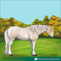 Horse Color:Silver Blue Roan Pearl Tobiano Frame 