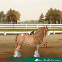 Horse Color:Chestnut Appaloosa Rabicano 