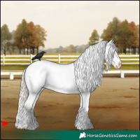 Horse Color:Palomino Roan Dun Splash Snowcap 