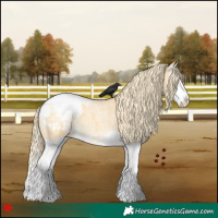 Horse Color:Palomino Roan Dun Splash Appaloosa 
