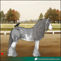 Horse Color:White Spotted Black Splash Varnish 