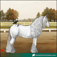 Horse Color:White Spotted Grullo Tobiano Varnish 