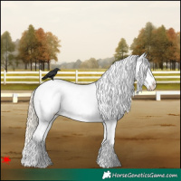 Horse Color:White Spotted Smoky Creme Roan Dun Snowcap 