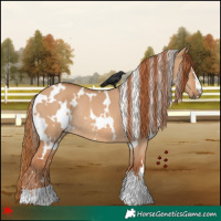 Horse Color:White Spotted Red Dun Rabicano