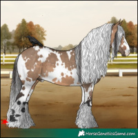 Horse Color:White Spotted Brown Dun
