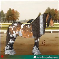 Horse Color:White Spotted Buckskin Varnish 