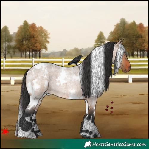 Horse Color:White Spotted Brown Roan Dun