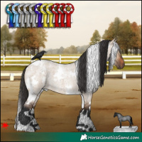 Horse Color:White Spotted Brown Roan Dun 