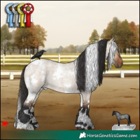 Horse Color:White Spotted Brown Roan Dun 