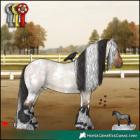 Horse Color:White Spotted Brown Roan Dun 
