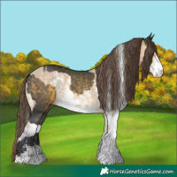 Horse Color:Buckskin Sabino Rabicano and Sable Cream Champagne Sabino Rabicano