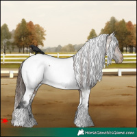 Horse Color:White Spotted Brown Dun Near Fewspot 
