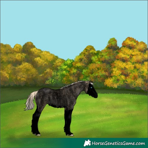 Horse Color:Void Palomino Roan Pearl Splash Rabicano 