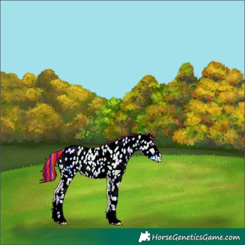 Horse Color:Painted Gold Champagne Ice Near Leopard