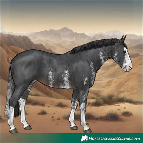 Horse Color:Brown Sabino Splash Rabicano and Brown Sabino Splash Rabicano