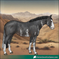 Horse Color:Brown Sabino Splash Rabicano  and Brown Sabino Splash Rabicano 